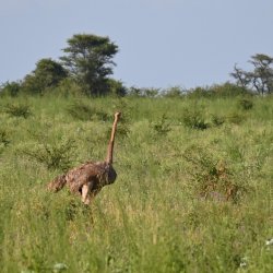 DSC_0120.JPG