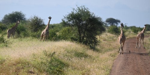 DSC_0121.JPG