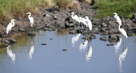 DSC_0134.JPG