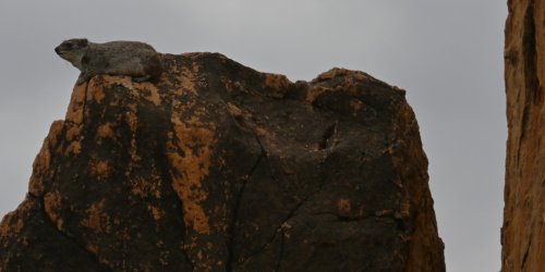 DSC_0160.JPG