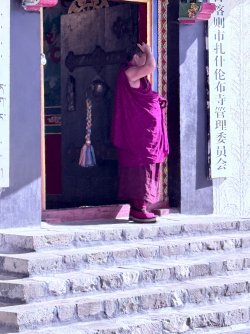 IMG_0865.jpeg
