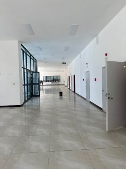 IMG_1038.jpeg