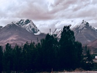 IMG_1053.jpeg