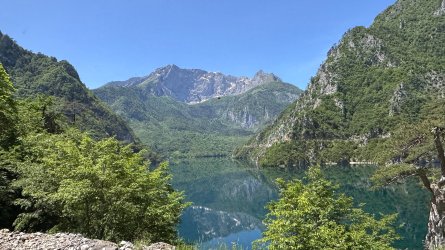 IMG_2010.JPEG
