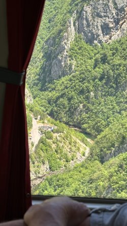 IMG_2016.JPEG