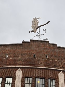 IMG_2993.jpeg