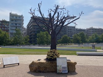 IMG_7559.jpeg