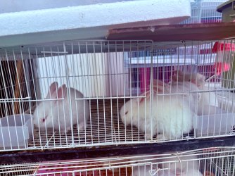 IMG_0293.jpeg