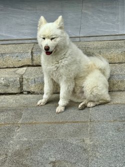 IMG_1128.jpeg