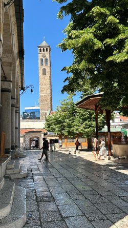 IMG_2141.JPEG