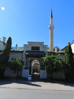 IMG_8720.JPG