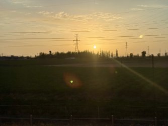 IMG_1408.jpeg