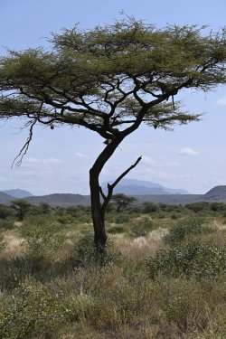 DSC_0168.JPG