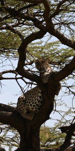 DSC_0188.JPG