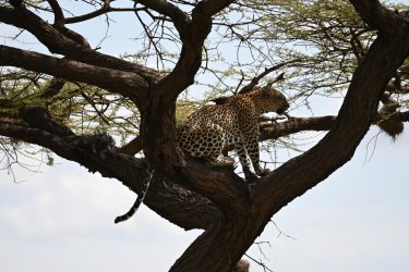 DSC_0192.JPG