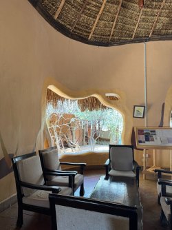 IMG_6562.JPG