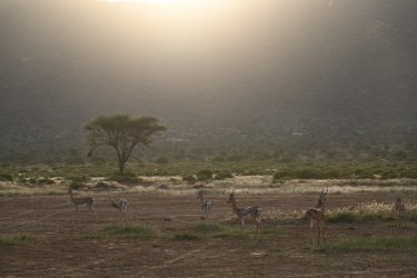 DSC_0246.JPG