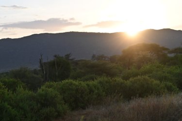 DSC_0253.JPG