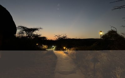 IMG_6604.JPG