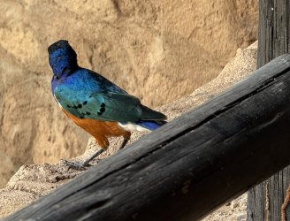 IMG_6633.JPG
