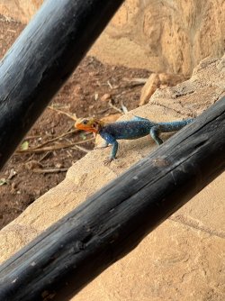 IMG_6635.JPG