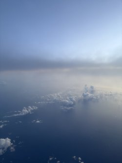 IMG_2184.jpeg