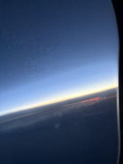 IMG_2185.jpeg