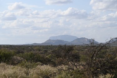 DSC_0311.JPG