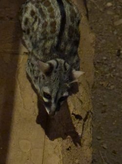 IMG_6652.JPG