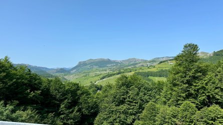 IMG_2314.JPEG