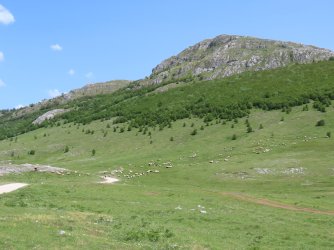 IMG_8799.JPG