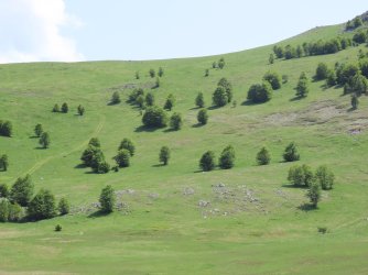 IMG_8801.JPG
