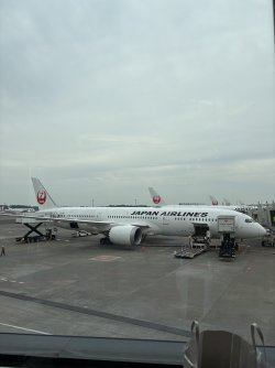 IMG_2195.jpeg
