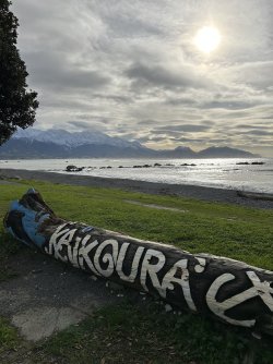 IMG_6793.jpeg