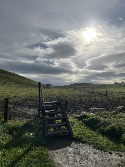 IMG_6798.jpeg