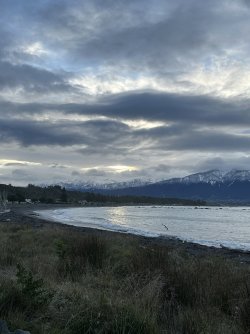 IMG_6812.jpeg