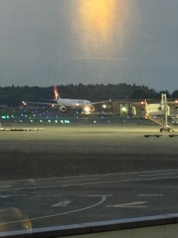 IMG_2201.jpeg