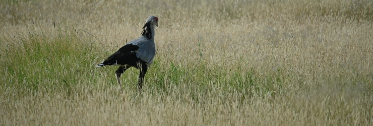 DSC_0356.JPG