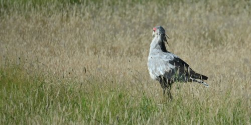 DSC_0357.JPG