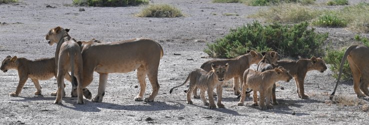 DSC_0370.JPG
