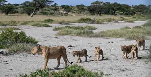 DSC_0377.JPG