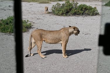 DSC_0384.JPG