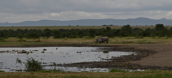 DSC_0392.JPG