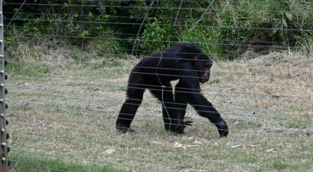 DSC_0395.JPG