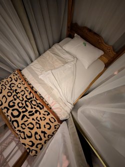 PXL_20250606_191540348.NIGHT.jpg