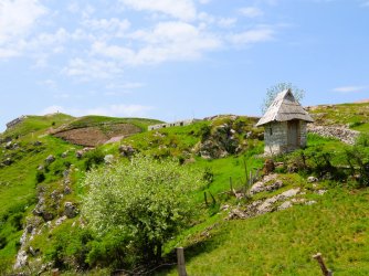 IMG_8775.JPG