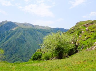 IMG_8782.JPG