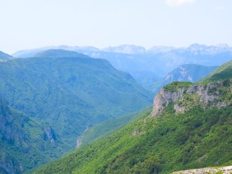 IMG_8785.JPG