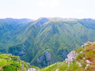 IMG_8795.JPG