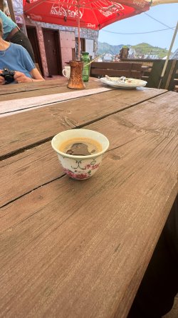 IMG_2393.JPEG